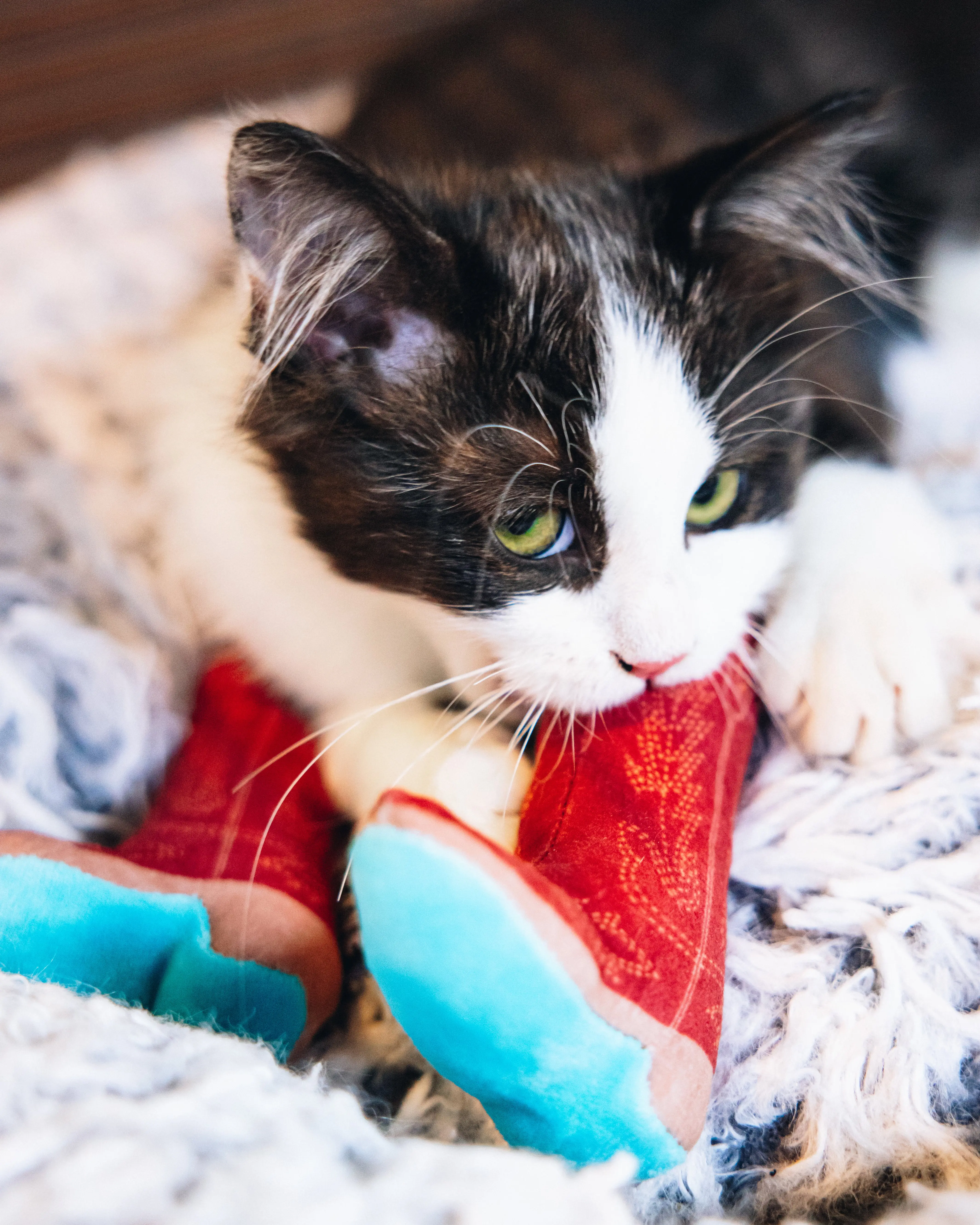 Meowdy Partner - Boot Cat Toy with Catnip - Image 2