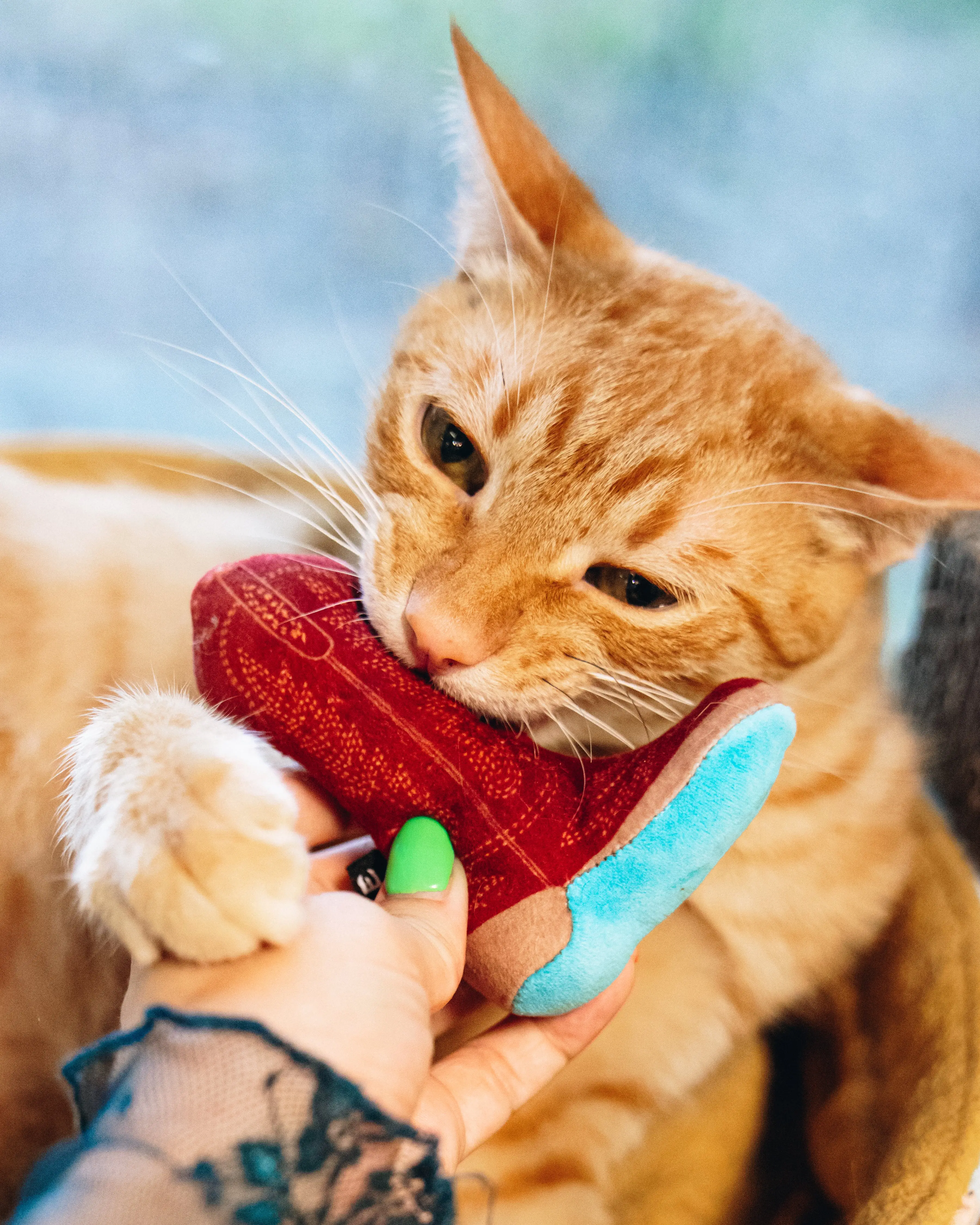 Meowdy Partner - Boot Cat Toy with Catnip - Image 4